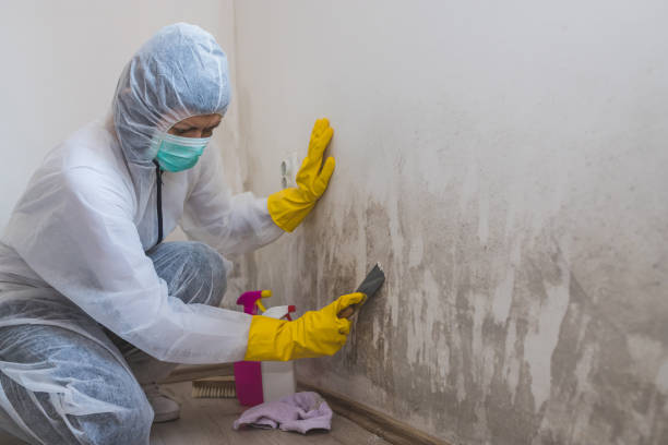 Warsaw, KY Mold Removal Company