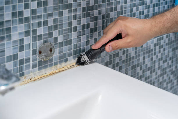 Mold Removal Process in Warsaw, KY